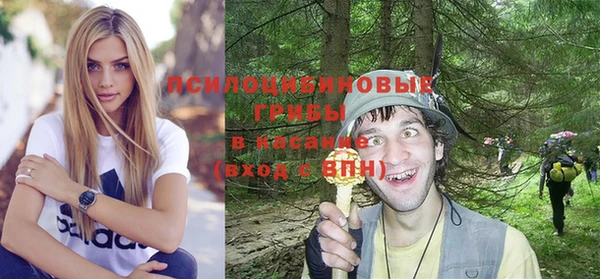 индика Кукмор