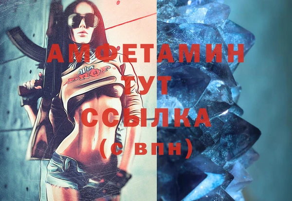 индика Кукмор