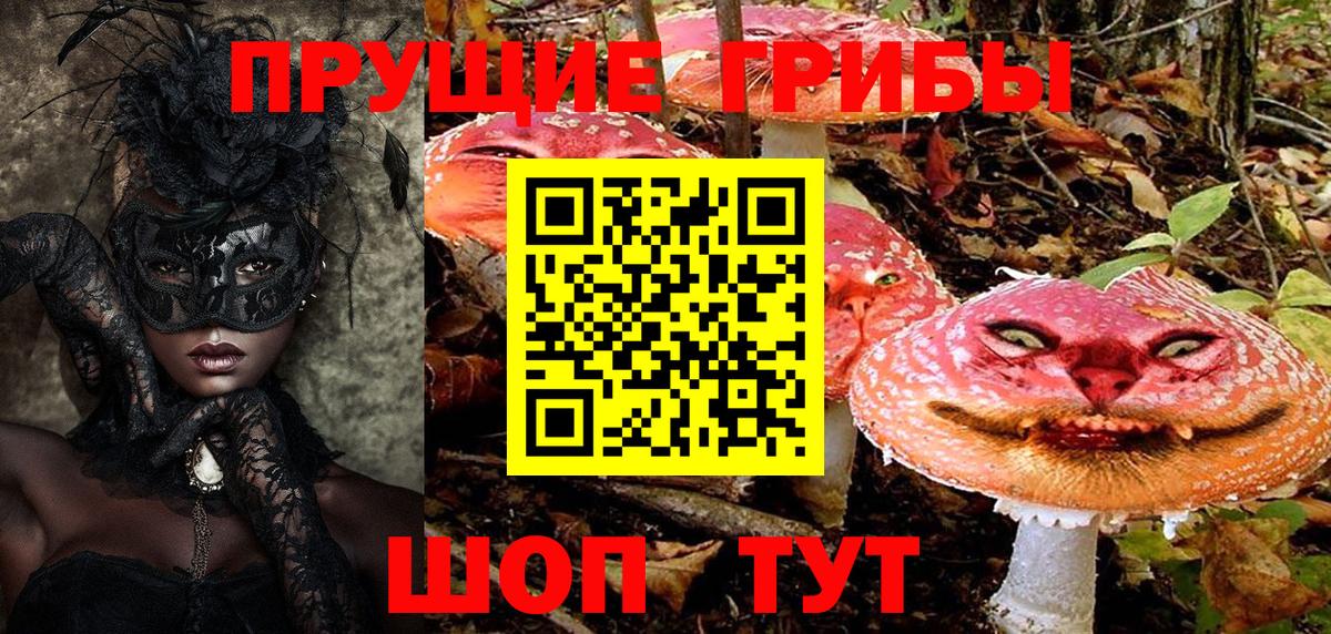 Галлюциногенные грибы Psilocybine cubensis Узловая