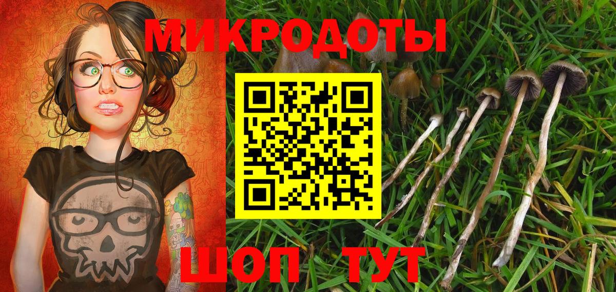 Узловая  Псилоцибиновые грибы GOLDEN TEACHER  Вход с VPN 