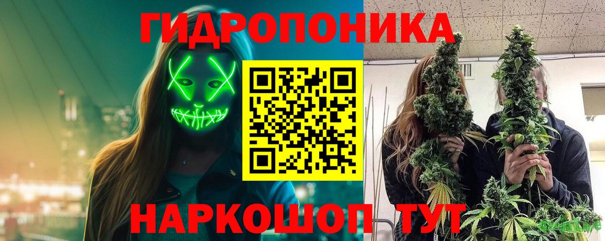 Канабис сатива  Вход с VPN  Шишки марихуана конопля  Узловая  Бошки Шишки план 